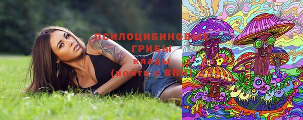 бутират Надым